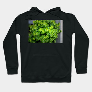 green plant and flowers Hoodie